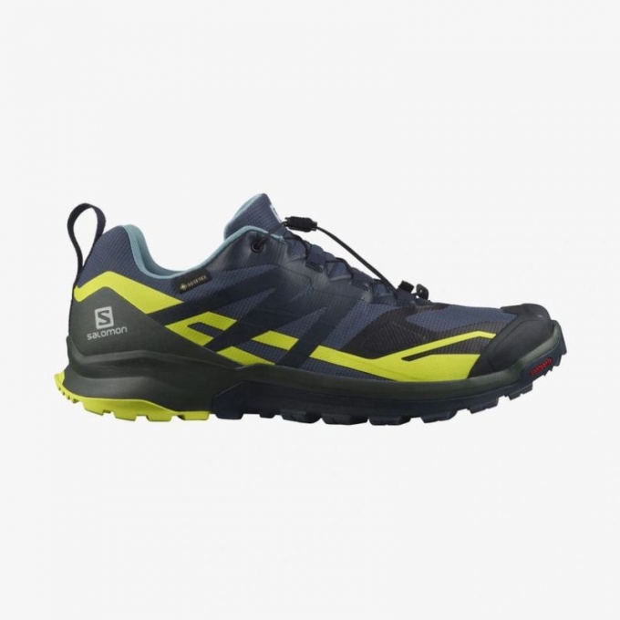 Salomon | Men's XA ROGG 2 GORE-TEX-Mood Indigo / Urban Chic / Evening Primrose