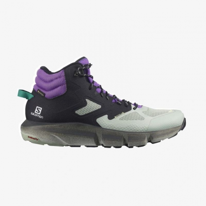 Salomon | Men's PREDICT HIKE MID GORE-TEX-Black / Aqua Gray / Royal Lilac