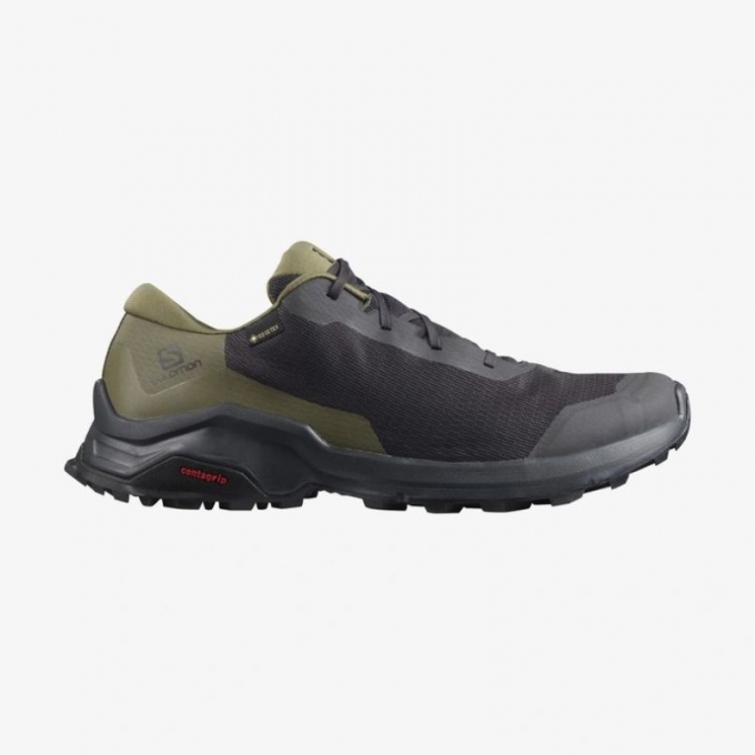 Salomon | Men's X REVEAL GORE-TEX-Phantom / Burnt Olive / Black