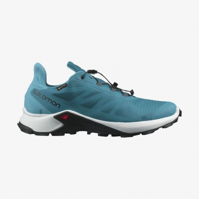 Salomon | Men's SUPERCROSS 3 GORE-TEX-Crystal Teal / White / Barrier Reef