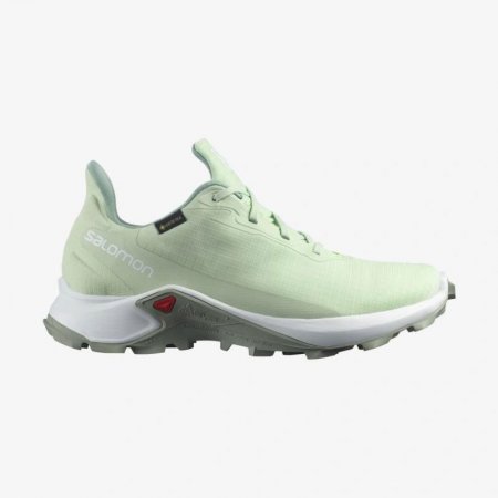 Salomon | Women's ALPHACROSS 3 GORE-TEX-Spray / White / Wrought Iron