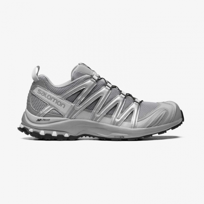 Salomon | Men's XA PRO 3D-Alloy / Silver. / Lunar Rock