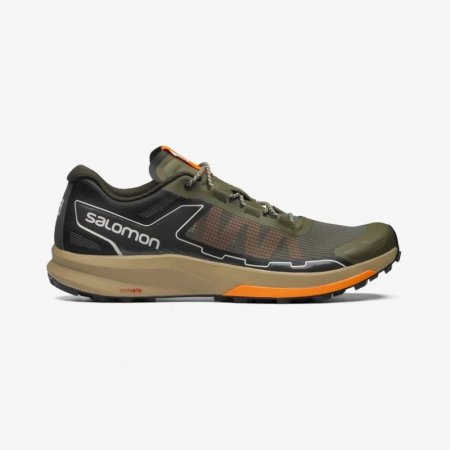 Salomon | Men's ULTRA RAID-Olive Night / Peat / Ponderosa Pine