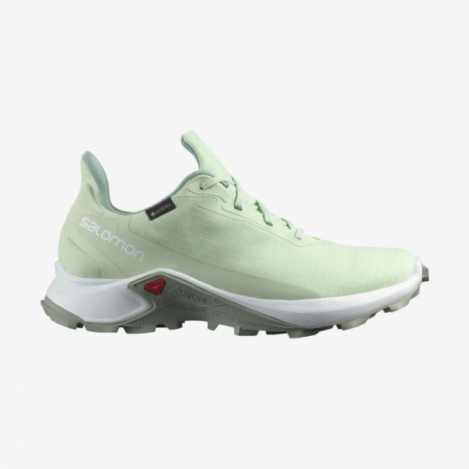 Salomon | Women's ALPHACROSS 3 GORE-TEX-Spray / White / Wrought Iron