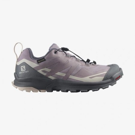 Salomon | Women's XA ROGG 2 GORE-TEX-Quail / Frost Gray / Morganite.