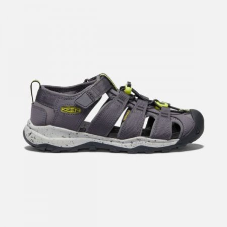 Keen | Big Kids' Newport Neo H2-Rabbit/Evening Primrose