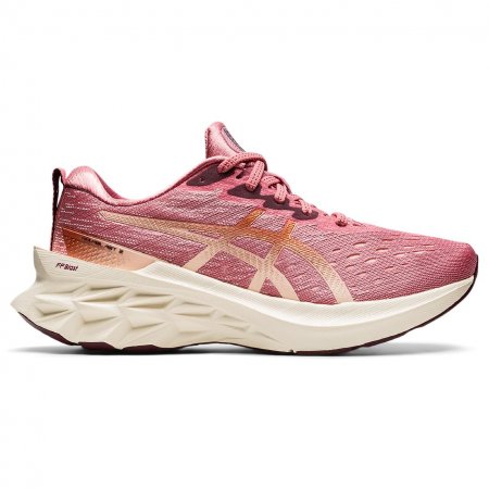 Asics | Women's NOVABLAST 2-Smokey rose/Pure bronze