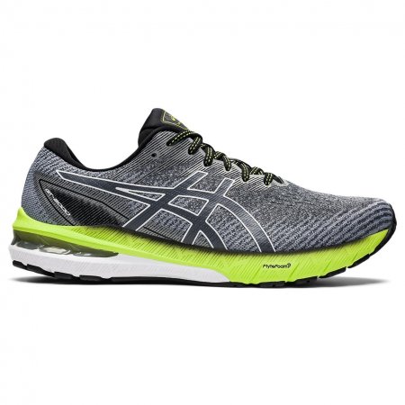 Asics | Men's GT-2000 10-Carrier grey/White